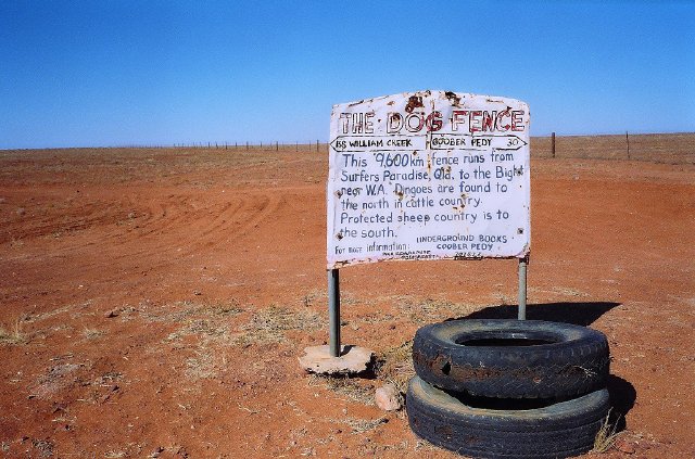 The Dog Fence