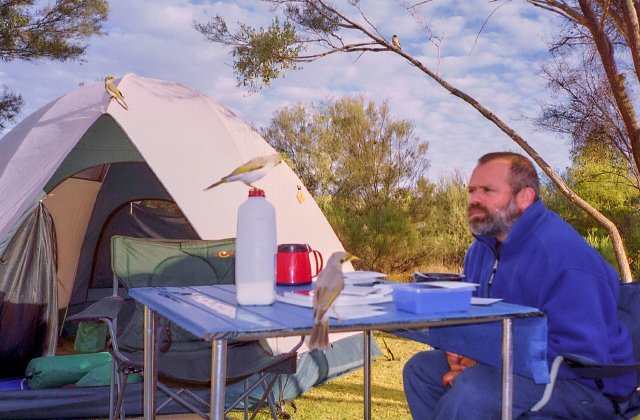 Bush brekkie, Kings Canyon