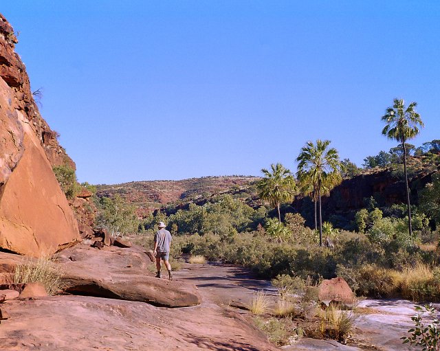 Palm Valley walk