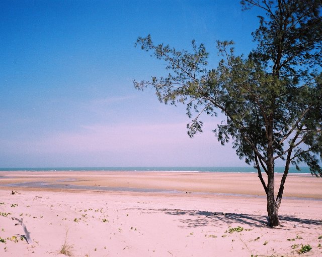 Beach, Darwin