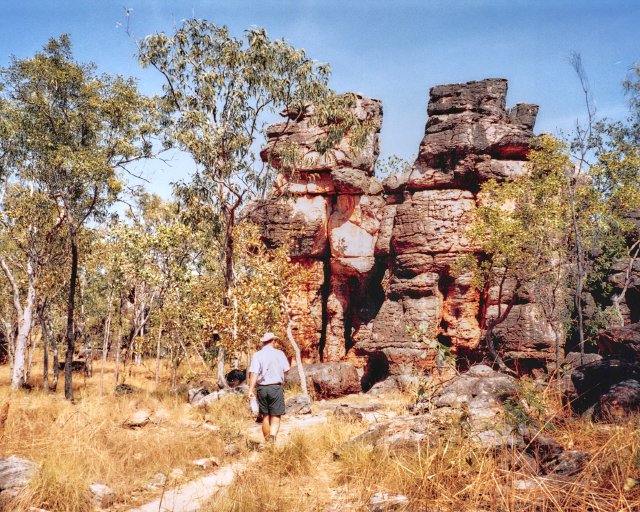 Walking around Litchfield NP, NT