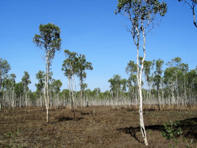 Into Arnhem Land