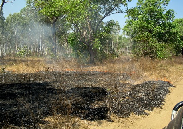 Driving through a bushfire..  Somewhere east of the Alligator River, NT