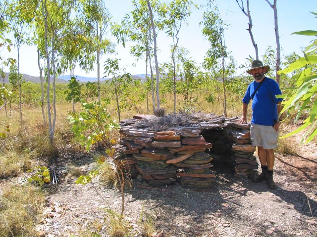 Me and an aboriginal hawk trap.  Ginger Hill, Keep River NP