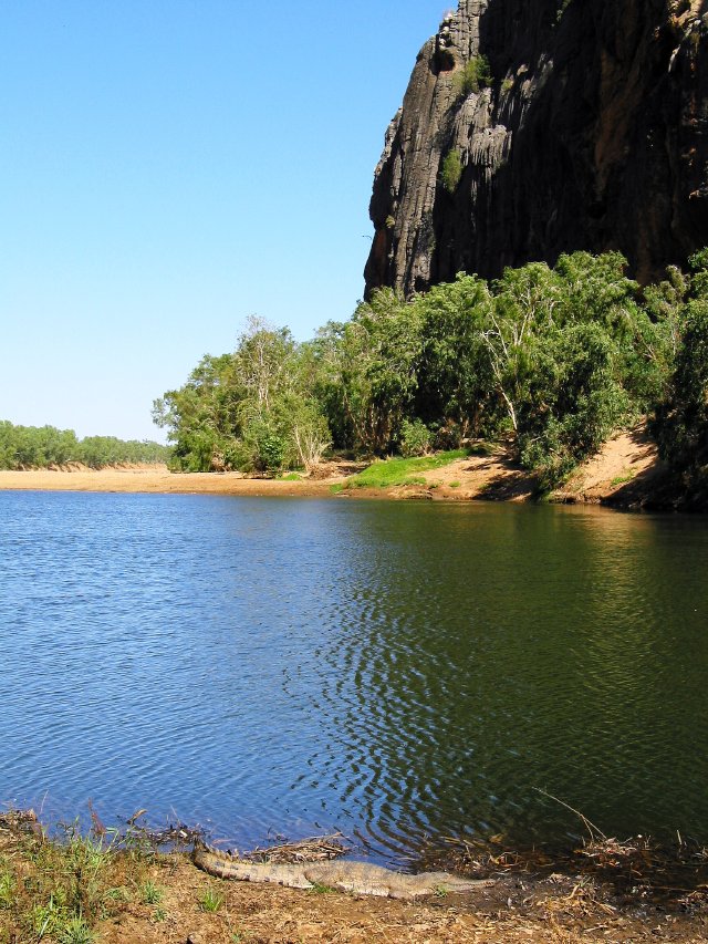 Croc, lazing, Windjana Gorge