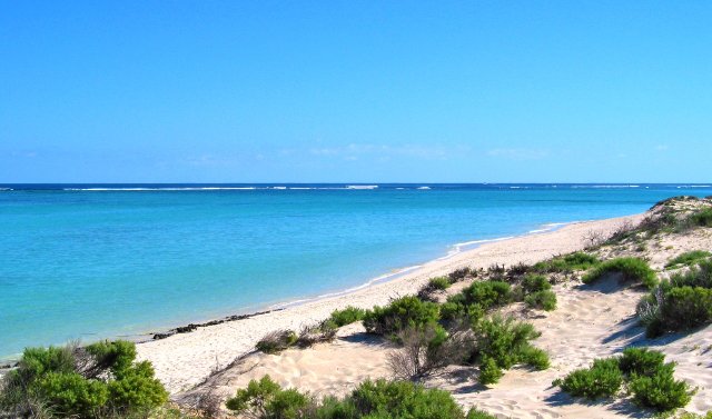 Kurrajong Campsite beach