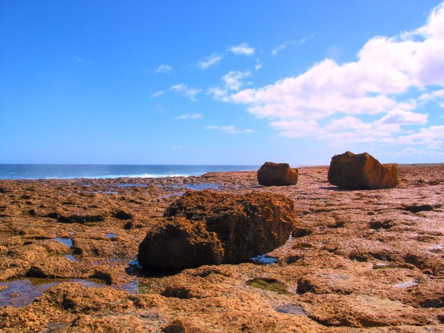 Blowholes and coastline