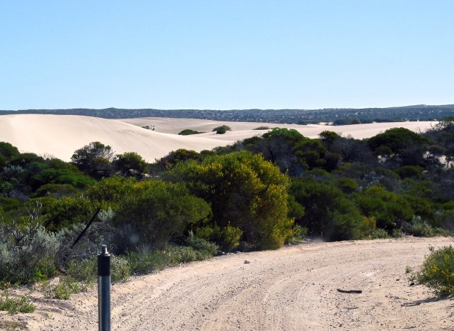 Dunes towards Steep Point