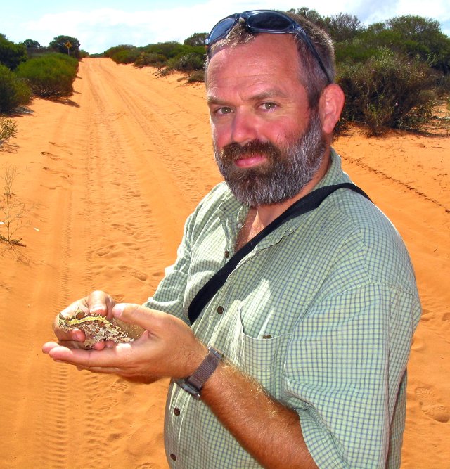 Horned Devil near Cape Peron