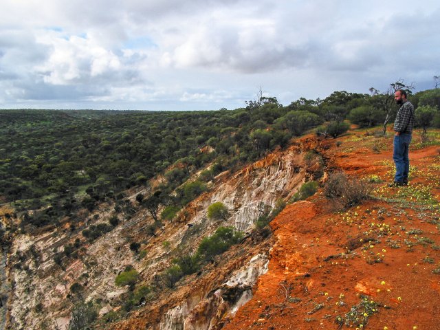 Coalseam Park