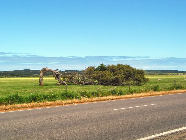 Greenough, WA.  Windy!