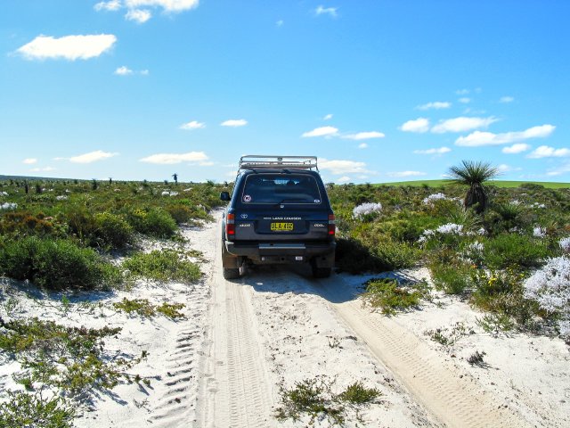 Headed to Mt Lesueur.  Through the grass trees and sand.