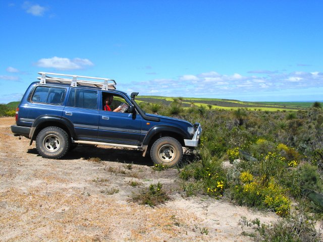 Chris catching up on the news... in the scrub.