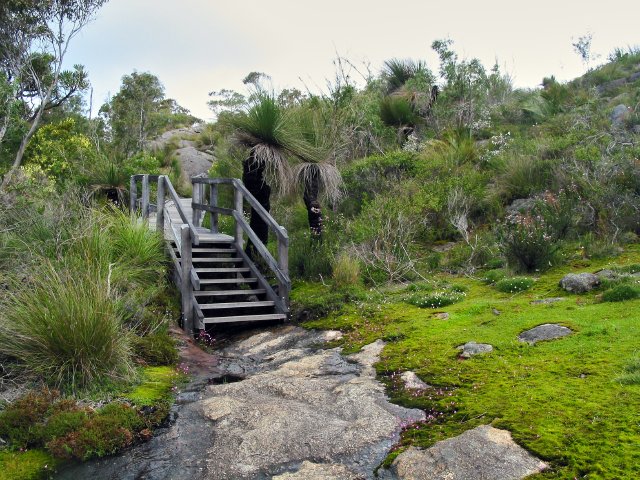 Mt Chudalup