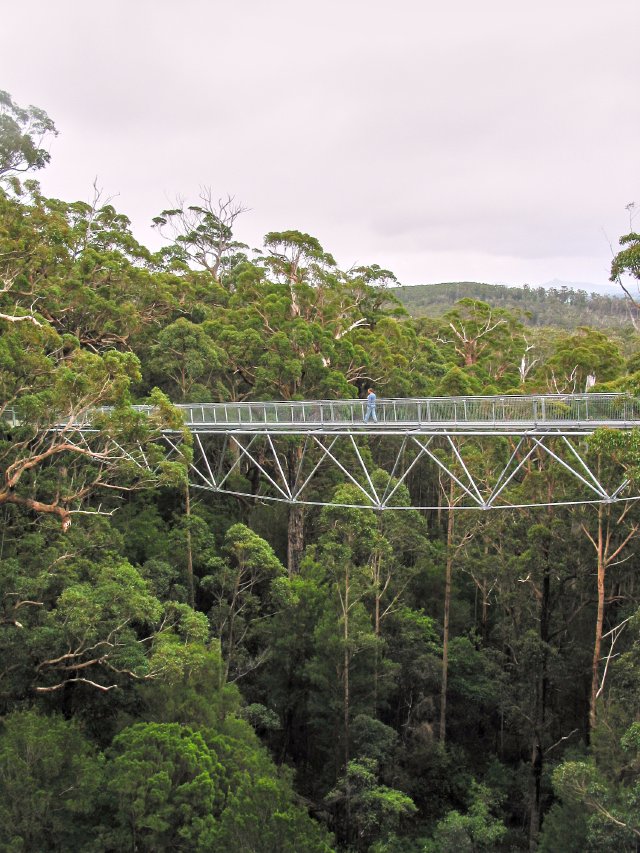 Treetop walk