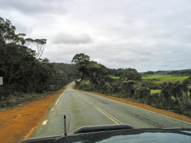 Ficifolia Road