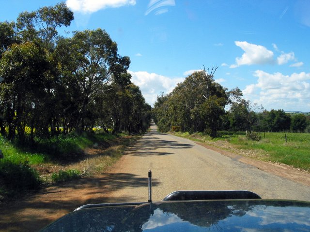 Road to the Stirling Ranges