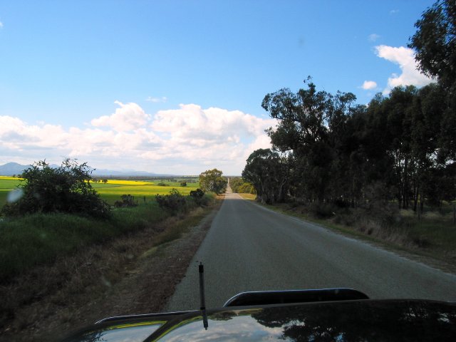 Road to the Stirling Ranges