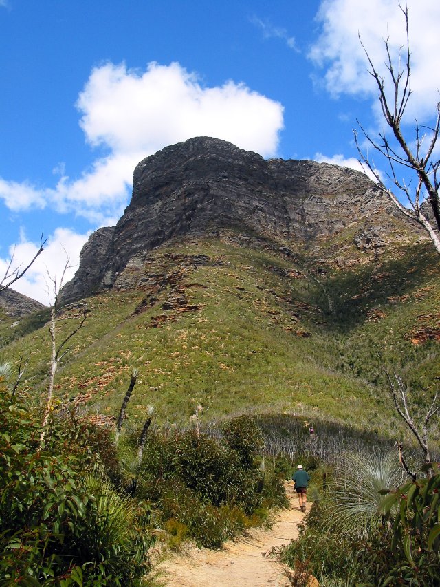 Bluff Knoll track