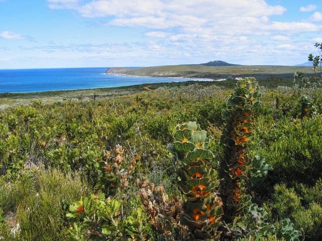 Around east Mt Barren