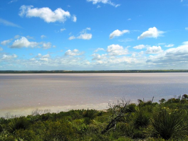 Pink Lake