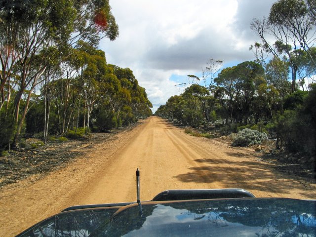 Around Salmon Gums, WA