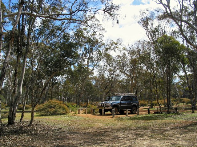 Dryandra Woodland