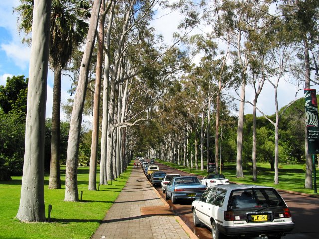 Walking in Kings Park, Perth, WA