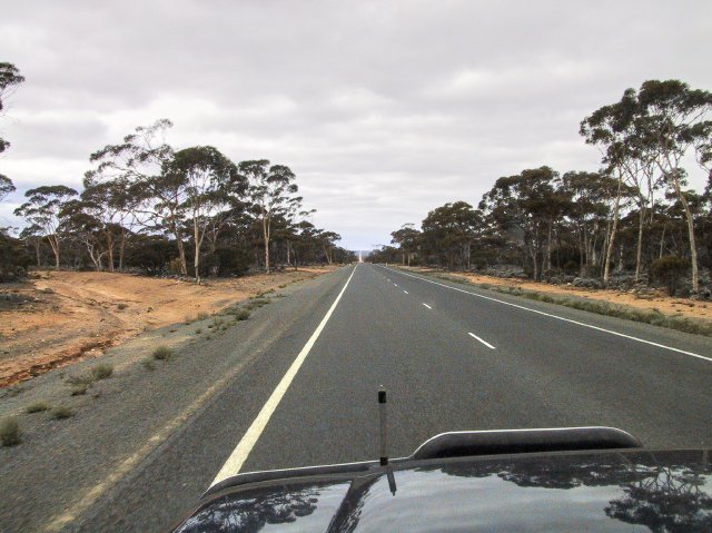 Eyre Hwy to Balladonia.  9:47am