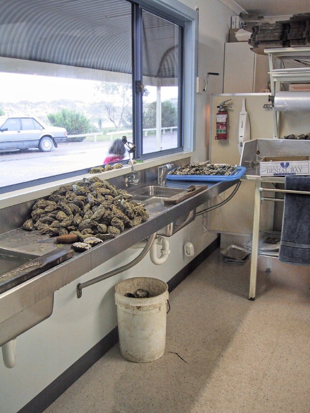 Ceduna Oysters, yum