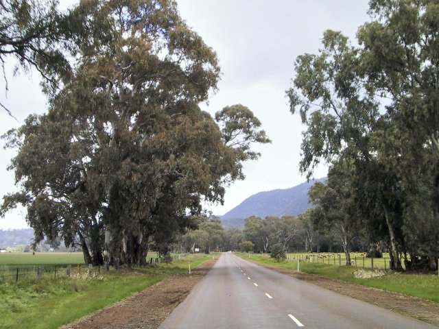 Country roads to the Clare Valley