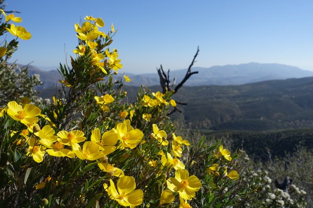 PCT Day 4