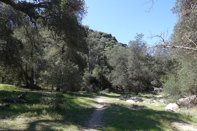 PCT Day 7.  Agua Caliente canyon