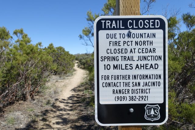 PCT. Hitched around 29 miles of trail.