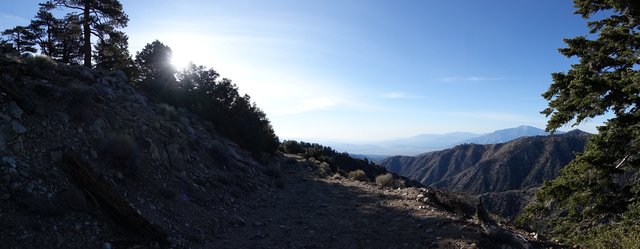 Palm Springs view, m244