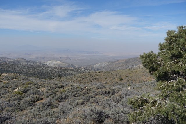 Mojave desert view, m262