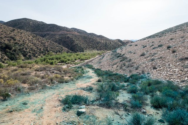 Hydroseeding? ,m313