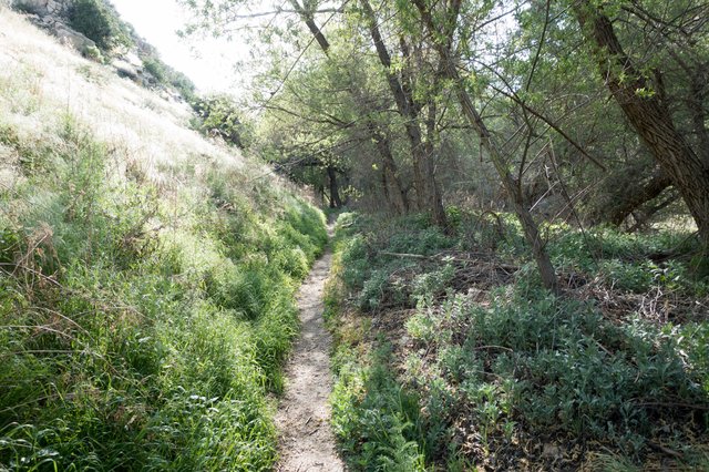 Mojave River shade, m313