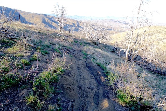 PCT or dirt bike trail?? m552