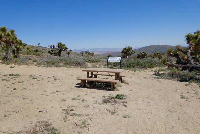 Lonely table, m621