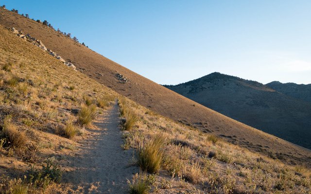 PCT up from Walker Pass, m652