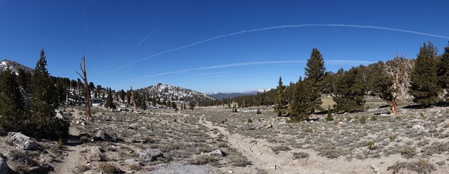 Cottonwood Pass, m750