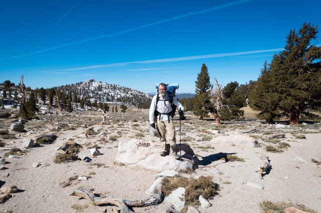 Cottonwood Pass