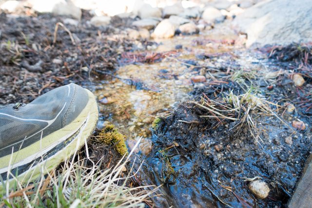 Guyot Creek stepover, m761