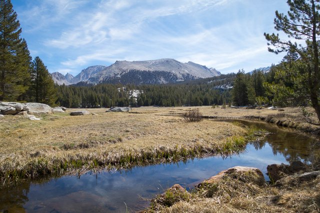 Crabtree Meadow, m766