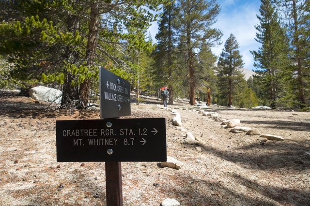 Mt Whitney trail jct, m766