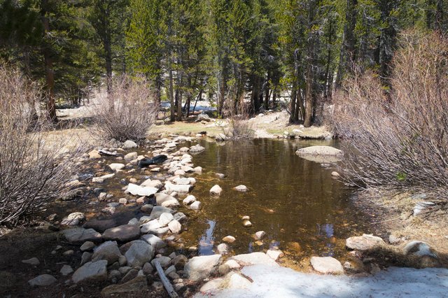 Wallace Creek ford, m770