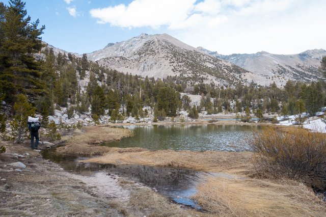 Pond near Bullfrog Lake, m788+