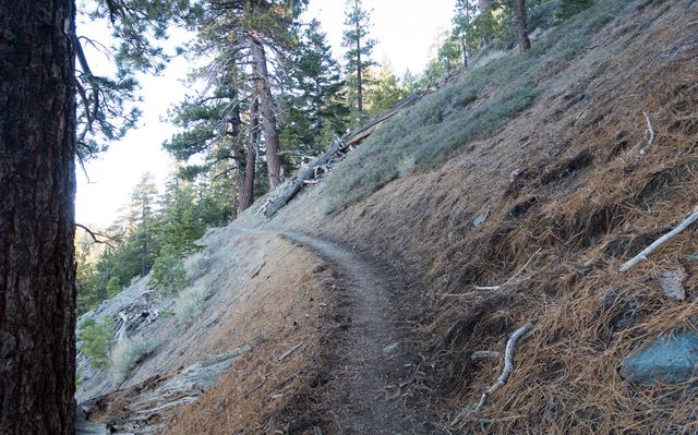 Trail at mile 363