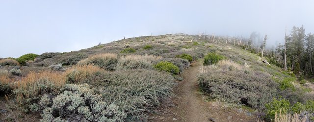 Ridgeline and fog, m364